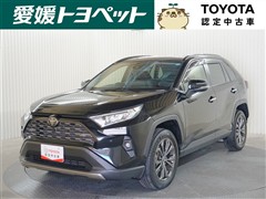 RAV4 G