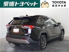 RAV4 G