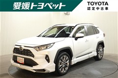 トヨタ RAV4 G Zパッケージ