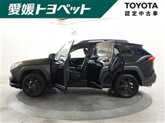 RAV4 アドベンチャー OR P2