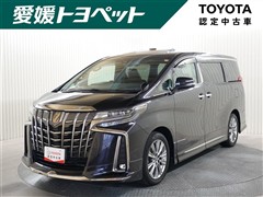 アルファードS TYPEGOLD3