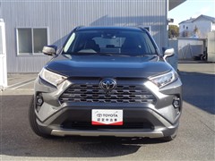 RAV4 G Zパッケージ