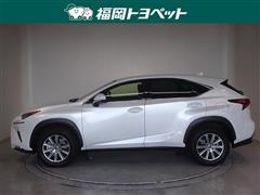 NX300h Iパッケージ