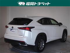 NX300h Iパッケージ