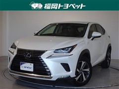 NX300h Iパッケージ
