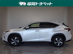 NX300h Iパッケージ