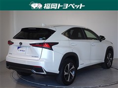 NX300h Iパッケージ