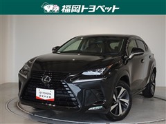 レクサス NX300 ブラックシークエンス