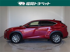 NX300h Iパッケージ