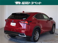NX300h Iパッケージ