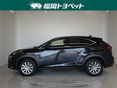 NX300h Iパッケージ