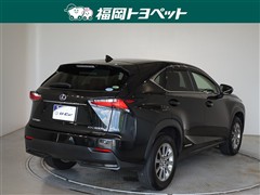 NX300h Iパッケージ