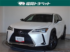 UX250h バージョンC