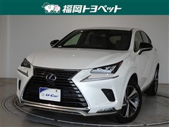 レクサス NX300h スパイス&シック