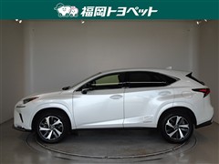 NX300h スパイス&シック