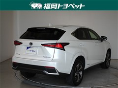 NX300h スパイス&シック