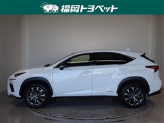 NX300h Fスポーツ