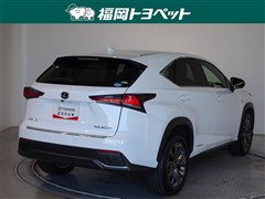 NX300h Fスポーツ