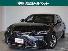ES300h ヒョウジュン