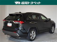 RAV4 G