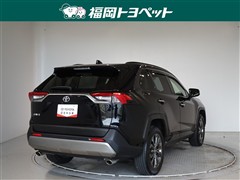 RAV4 G