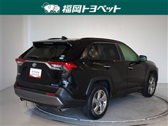 RAV4 G
