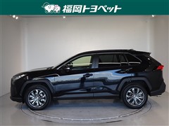 RAV4 X