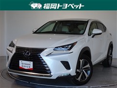 NX300h バージョンL