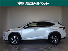 NX300h バージョンL