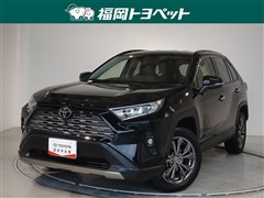 RAV4 G