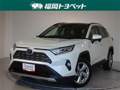 RAV4HEV G
