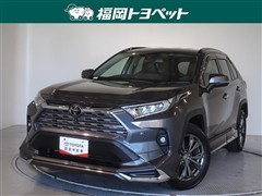 ＲＡＶ４