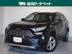 RAV4 G