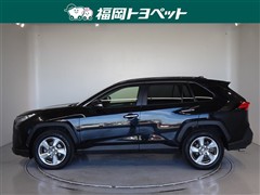 RAV4 G