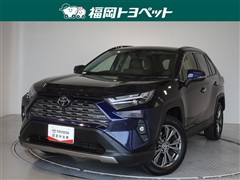 RAV4 HEV G
