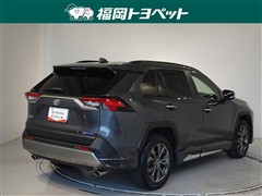 RAV4 G