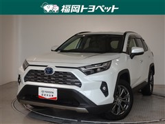 RAV4HEV G