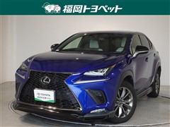 NX300 Fスポーツ