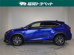 NX300 Fスポーツ