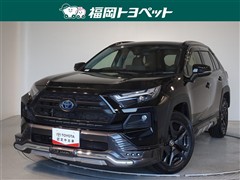 RAV4HEV アドベンチャー