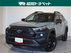 ＲＡＶ４