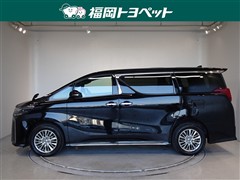 アルファードHEVSタイプゴール3