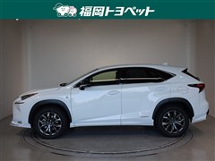 NX300h Fスポーツ