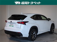 NX300h Fスポーツ