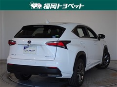 NX300h Fスポーツ