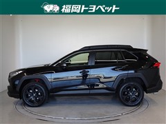 RAV4アドベンチャーオフロード2