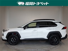 RAV4アドベンチャーオフロード2