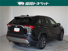 RAV4 G