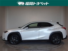 UX250h バージョンC