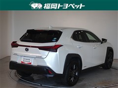 UX250h バージョンC